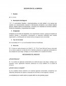 DESCRIPCION DE EMPRESA M Y A S.A.S