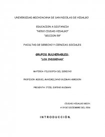 GRUPOS BULNERABLES FILOSOFIA DEL DERECHO. Página 1