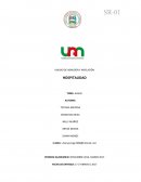 Alausí un paraíso escondido