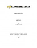 Análisis puesto de trabajo- Ergonomia