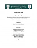 Características morfológicas del tejido epitelial y sus funciones