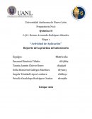 Etapa 1 “Actividad de Aplicación” Reporte de la práctica de laboratorio