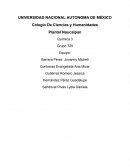 Inicio y desarrollo de la economía y recursos en México