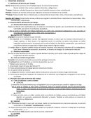 Toda actividad física o intelectual que se desarrolla de manera libre, licita, remunerada y subordinada.