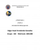 En ésta novela nos encontramos con el conflicto de dos hermanos llamados Pedro y Juan; quienes son de diferente padre, ya que la madre de éstos tuvo un romance a escondidas, por lo cual Juan fue la consecuencia.