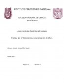 Laboratorio de Genética Microbiana Práctica No. 1 “Aislamiento y caracterización de DNA”.