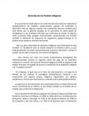Tema- Derechos de los pueblos indigenas