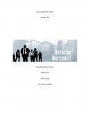 FODA COCA COLA Introducción