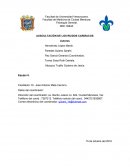 AUSCULTACIÓN DE LOS RUIDOS CARDÍACOS.