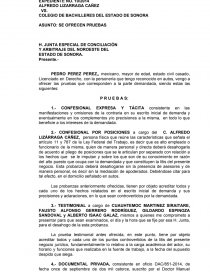 OFRECIMIENTO DE PRUEBAS LABORAL NOGALES - Documentos de Investigación -  carlosmtzcantu