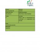 Ensayo sobre el comportamiento del consumidor y la segmentación del mercado.