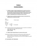 Prediga el efecto que producirá la abundante cosecha en el precio del maíz, suponiendo que se vende este año todo.