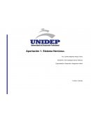 Aportación 1. Sistema Nervioso.