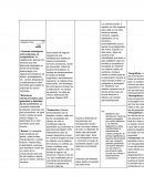 Este modelo de negocio requerirá de una infraestructura dotada de todos los elementos y servicios necesarios