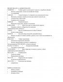 PREHISTORIA DE LA ADMINISTRACIÒN