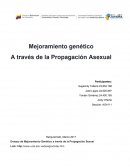 Proyecto Mejoramiento genético