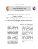 Extracción de pectina de la cascara de cacao (Theobroma cacao)