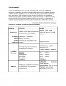 Categorías gramaticales El don de la palabra
