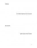 La Verdadera Importancia de la Conciencia