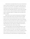 Diarios de la calle ensayo