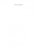 Informe de lectura Duplícame.