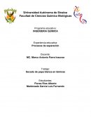 Trabajo: Secado de papa blanca en láminas