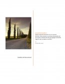 ANALISIS MECANICO EN LA FABRICACION