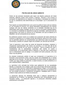 PROTECCION DEL MEDIO AMBIENTE ENSAYO.