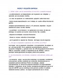 MICRO Y PEQUEÑA EMPRESA