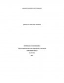 ANALISIS FINANCIERO PACIFIC RUBIALES