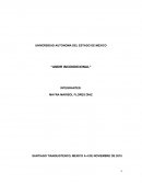 Conceptos del amor y lo incondicional