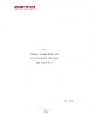 Curso: Comunicación Oral y Escrita