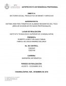 Esto es SISTEMA WEB PARA TRÁMITES DE ALUMNOS RESIDENTES DEL ITSCO (ÁREA DE DIVISIÓN DE ESTUDIOS PROFESIONALES)