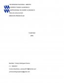 Practica Creatividad