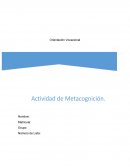 Orientacion 3 metacognicion 1