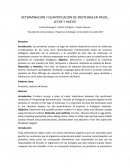 DETERMINACION Y CUANTIFICACION DE PROTEINAS EN FRIJOL, LECHE Y HUEVO