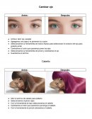 Seleccionamos la herramienta de marco elíptico para seleccionar el contorno del ojo para poderlo pintar