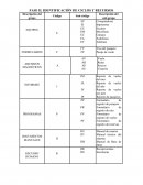 FASE II. IDENTIFICACIÓN DE CICLOS Y RECURSOS