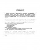 Proyecto informe de empresa mercantil