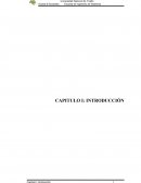 Realidad Problematica La empresa Fiansa S.A.