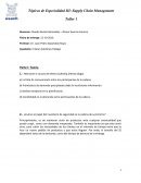 Mencione 4 causas del efecto bullwhip (efecto látigo)