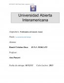 La economia del Acceso