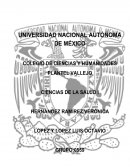El libro es narrado y se basa principalmente en la historia de Emil Sinclair, un chico con una forma de pensar muy distinta a las demás