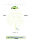 MODULO DE MANEJO DE CUENCAS HIDROGRAFICAS