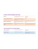 Lesiones dermatológicas primarias