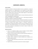 VEHICULAR Y PEATONAL EN EL JR. NARANJAL DE LA UU.VV. RUMI RUMI BAJO, DISTRITO DE ANDAHUAYLAS PROVINCIA DE ANDAHUAYLAS-APURIMAC”