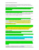 RESUMEN ORGANIZACIÓN INDUSTRIAL