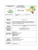 PLANTA PILOTO DE LA IEDIT LABORATORIO DE TECNOLOGIA DE LACTEOS.