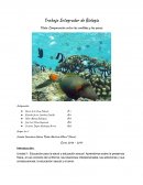 Trabajo Integrador de Biología Título: Comparación entre los anélidos y los peces.