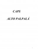 Trabajo de campo de rcv